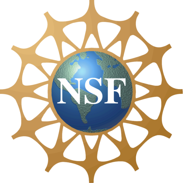 The NSF logo